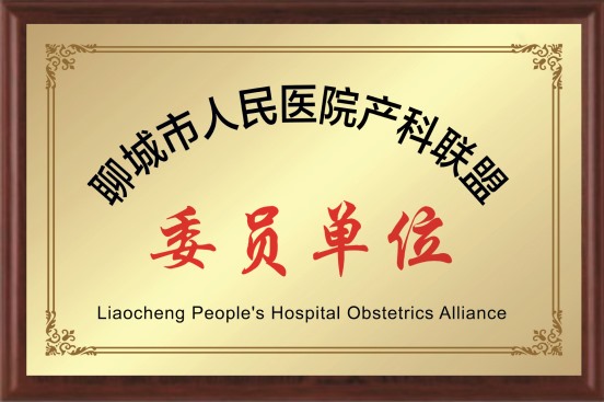 聊城市人民医院产科联盟