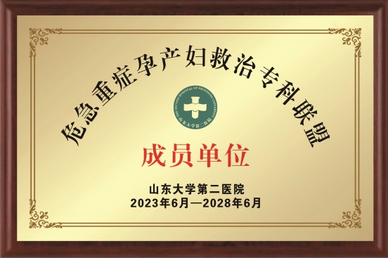 危急重症孕产妇救治专科联盟